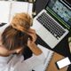 Woman using computer looking frustrated